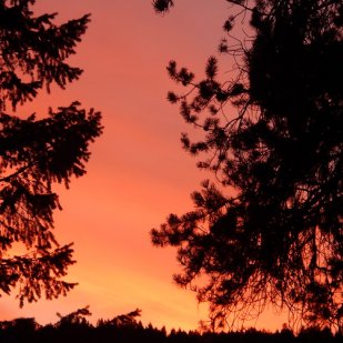 Enjoy the sunset at Lake Koocanusa.  