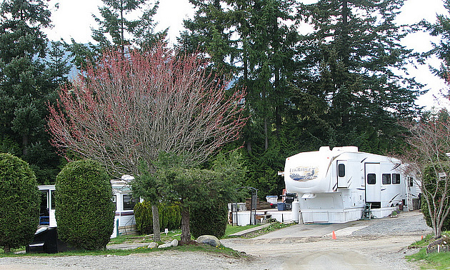 RV in a lot with blossoming trees around it