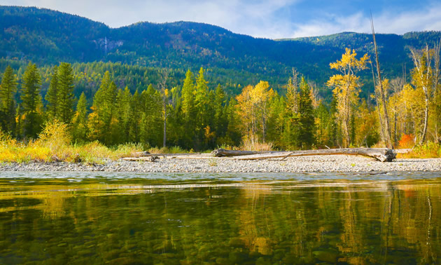 Lower Shuswap River sand bar.