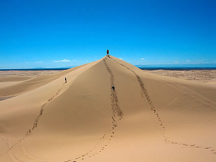 Desert scene