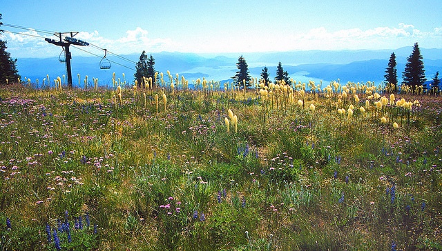 View of Lake Pend Oreille and beyond from Schweitzer Mountain Resort in the summer.