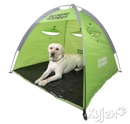 dog in a tent for RV camping