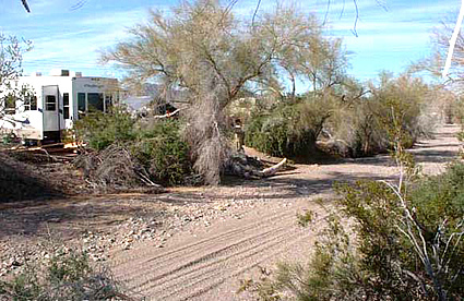 Quartzsite