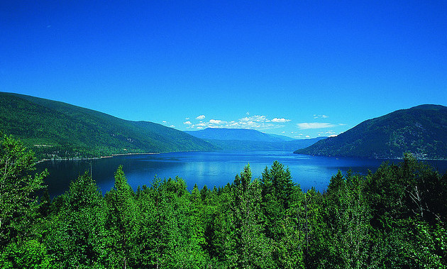 A view overlooking Shuswap Lake on a sunny summer day