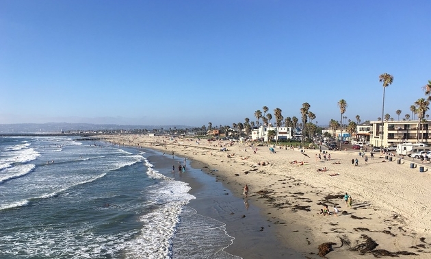 beach in San Diego