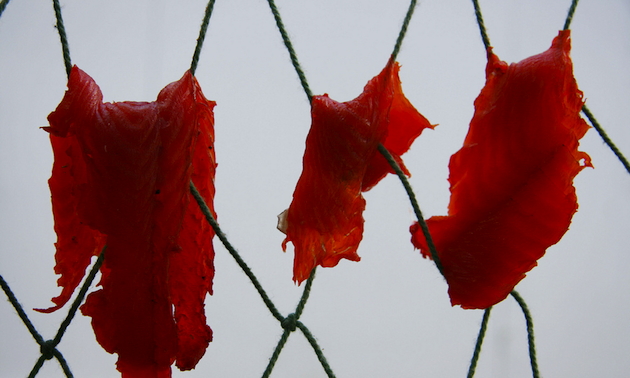 Salmon drying on a fishing net