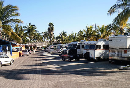 RVs parked next to palm trees