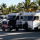 RVs parked next to palm trees