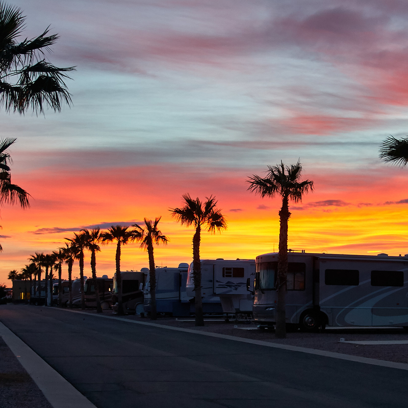 palm trees and RVs parked at a resort during a sunset