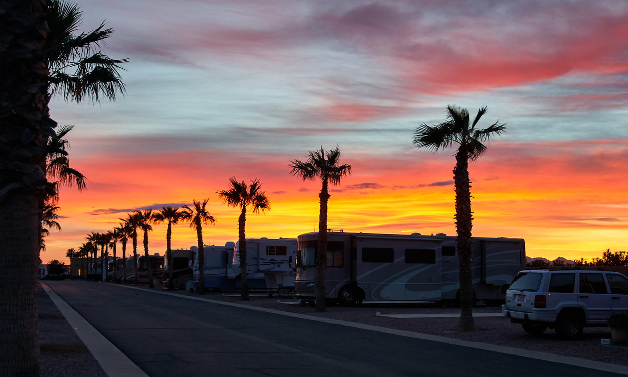 palm trees and RVs parked at a resort during a sunset