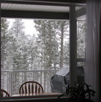 Photo of a winter scene from inside the home. 