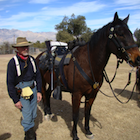 soldier and horse