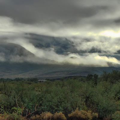 A cloudy morning in Southern Arizona. 