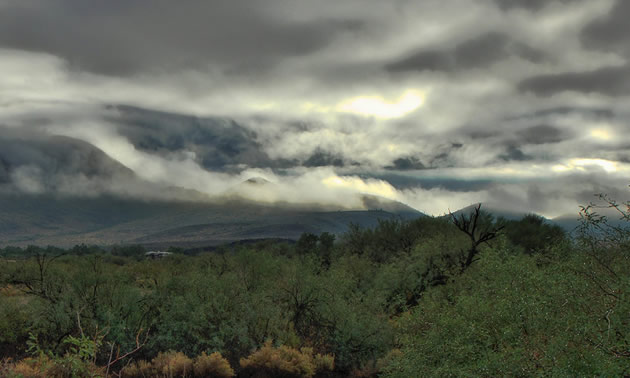 A cloudy morning in Southern Arizona.