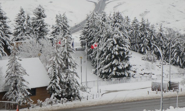 snow on buildings and evergreen trees