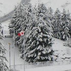 snow on buildings and evergreen trees