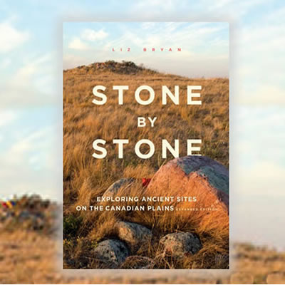 Cover of the book with stones on a prairie grassland