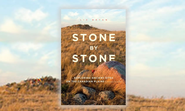 Cover of the book with stones on a prairie grassland