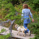 lady walking her dog on a forest trail