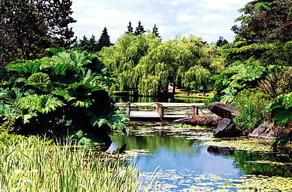 botanical garden