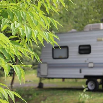 Camper tucked among leafy trees. 