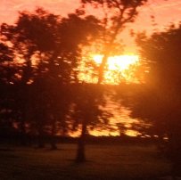 This snapshot was taken at Roy Lake State Park, South Dakota.