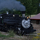 train on a desert railroad