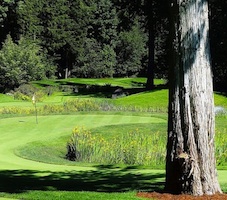 Tap-ins is an 18-hole, par-70 putting course in Cultus Lake.