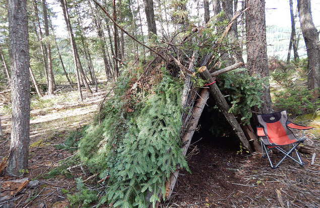 A tepee made out of pine branches.