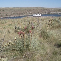Photo of RV at  Giant Springs State Park, Great Falls, Montana