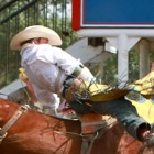 A cowboy rides a bucking horse