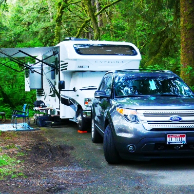 Truck and camper parked in the forest