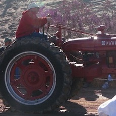 Antique tractor pull at the Wellton Tractor Rodeo.