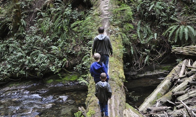 A photo of a man and 2 boys crossing a river on a log.