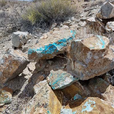 Edley's most recent turquoise discovery in Imperial County. The larger stone weighs 36.7lbs and the smaller stone weighs 21lbs.