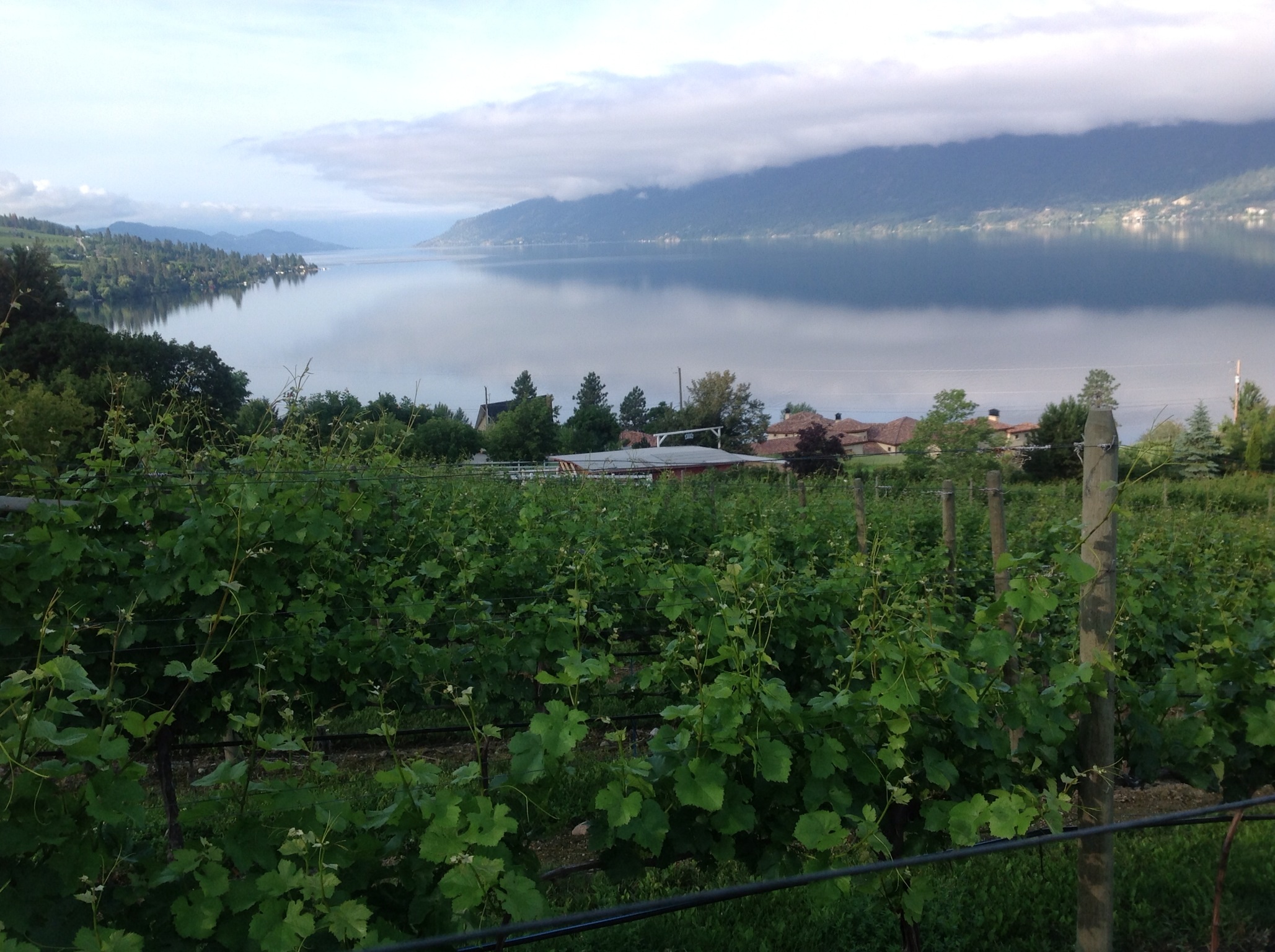 Sun coming up over lake Okanagon kelowna b c