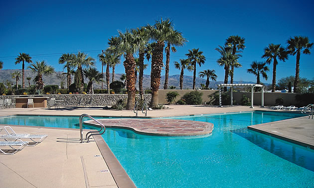 swimming pool with palm trees around it