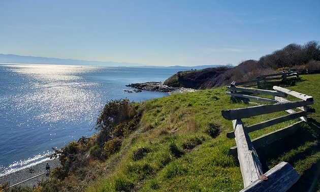 photo of waterfront park walkway