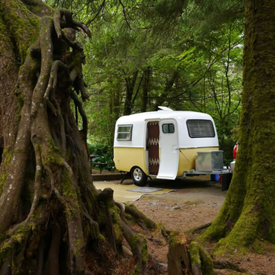 Vintage Boler trailer parked in park with large, towering trees. 