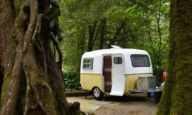 Vintage Boler trailer parked in park with large, towering trees. 
