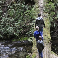 A photo of a man and 2 boys crossing a river on a log.