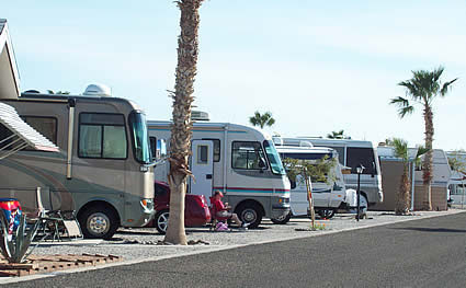 Motorhomes parked at Westwind resort