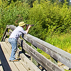 person on a dock watching birds at a marsh sanctuary