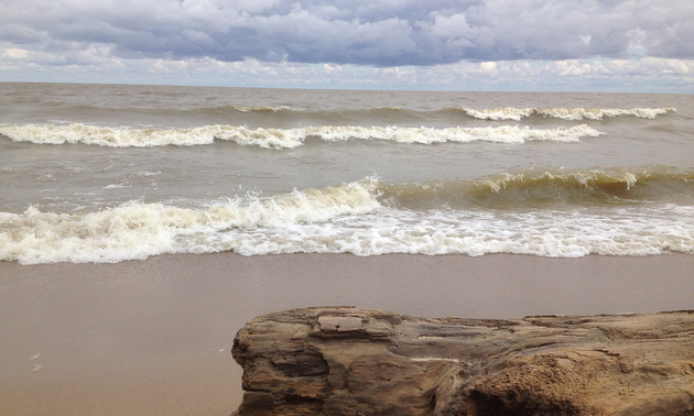 Winnipeg Beach with the waves rolling in and driftwood on the beach.