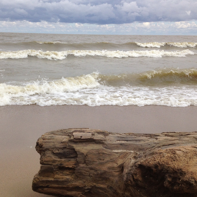 Winnipeg Beach with the waves rolling in and driftwood on the beach.
