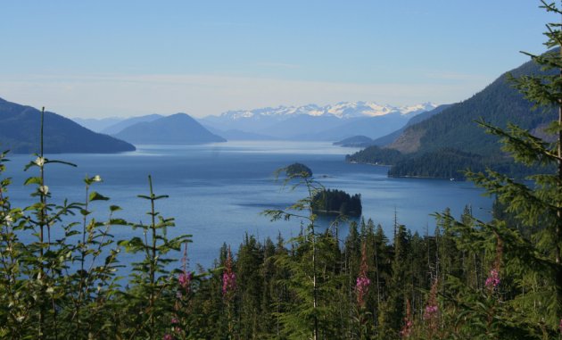 Camping and dining in Wrangell Alaska