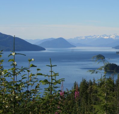 Camping and dining in Wrangell Alaska