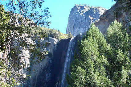 Bridalveil Falls  with trees surrounding