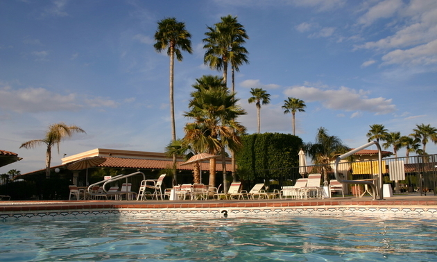 RV resort with palm trees around it