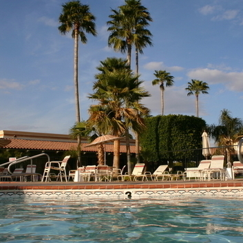 RV resort with palm trees around it